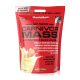 Musclemeds Carnivor Mass - Marhafehérje Alapú Tömegnövelő - 5,6 Lbs 2580 g