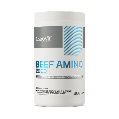 Ostrovit Bcaa+glutamine 500 g