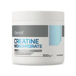 Ostrovit Creatine Hcl 300 g