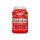 Amix Creatine Monohydrate 300 g
